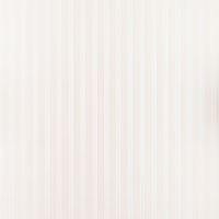 Товар: Обои Артекс New Look 5 10660-02 Винил на флизелине (1,06*10,05) Бежевый, Полоса - фото 1 Обои Артекс New Look 5 10660-02 Винил на флизелине (1,06*10,05) Бежевый, Полоса — фото 1, Обои для стен