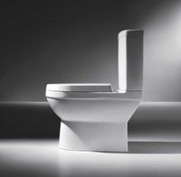 Товар: Унитаз компакт Bravat CX01014UW-P-RUS без бачка, с сиденьем Микролифт - фото 2 Унитаз компакт Bravat CX01014UW-P-RUS без бачка, с сиденьем Микролифт — фото 2, Напольные унитазы