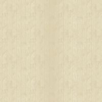 Обои Bruno Zoff Silver 60113-3 Фольга на флизелине (1,06*10,05)  Бежевый, Штукатурка — фото 2, Обои для стен