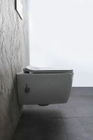 Унитаз биде Allen Brau Liberty 2 4.33009.20 подвесной Белый без сиденья — фото 36, Подвесные унитазы