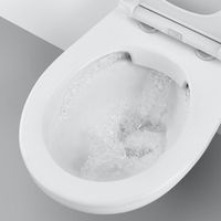 Унитаз Grohe Bau Ceramic 39427000 подвесной без сиденья — фото 4, Подвесные унитазы