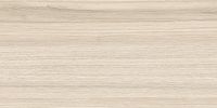 Керамическая плитка NewTrend Essense Beige WT9ESS11 настенная 24,9х50 см — фото 1, Керамическая плитка
