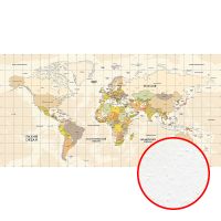 Фреска Ortograf Карты мира 33547 Фактура бархат FX Флизелин (5,3*2,7) Бежевый, Карты — фото 1, Фрески