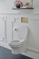 Товар: Унитаз Jacob Delafon Cleo 1889 EDZ102-0 подвесной без сиденья - фото 3 Унитаз Jacob Delafon Cleo 1889 EDZ102-0 подвесной без сиденья — фото 3, Подвесные унитазы