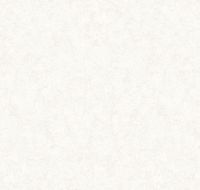 Обои LOYMINA Shade SD3 001 Винил на флизелине (1*10,05) Белый, Штукатурка — фото 2, Обои для стен