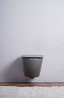 Товар: Унитаз Esbano Azalea ESUPAZALGM подвесной Серый матовый с сиденьем Микролифт - фото 3 Унитаз Esbano Azalea ESUPAZALGM подвесной Серый матовый с сиденьем Микролифт — фото 3, Унитазы