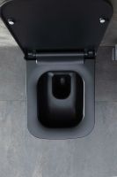 Товар: Унитаз Allen Brau Infinity 4.21011.31 подвесной Черный матовый без сиденья - фото 62 Унитаз Allen Brau Infinity 4.21011.31 подвесной Черный матовый без сиденья — фото 62, Подвесные унитазы