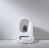 Унитаз beWash Aldo BKFSR001565 приставной с сиденьем Микролифт — фото 4, Унитазы