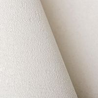 Обои Andrea Rossi Cheradi 54391-4 Винил на флизелине (1,06*10,05) Белый, Штукатурка — фото 3, Обои для стен