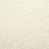 Обои Marburg Patent Decor 9760 Винил на флизелине (1,06*25) Белый, Штукатурка — фото 1, Обои для стен