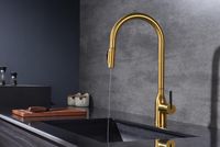 Товар: Смеситель для кухни Paulmark Universal Un213880-BG Брашированное золото - фото 3 Смеситель для кухни Paulmark Universal Un213880-BG Брашированное золото — фото 3, Смесители для кухни