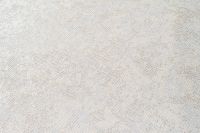 Обои Артекс Dieter Langer Eleganza 10356-01 Винил на флизелине (1,06*10,05) Бежевый/Серый, Штукатурка — фото 3, Обои для стен