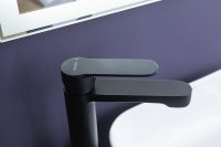 Товар: Смеситель для раковины Aquanet Passion AF300-11B Черный арт-243294 - фото 3 Смеситель для раковины Aquanet Passion AF300-11B Черный арт-243294 — фото 3, Смесители для раковины