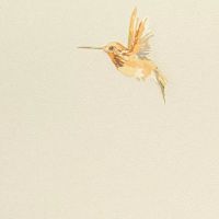 Обои Andrea Rossi Spectrum + 54356-3 Винил на флизелине (1,06*10) Белый/Коричневый, Птицы — фото 1, Обои для стен