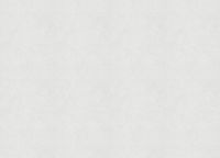 Обои Marburg Memoria 30358 Винил на флизелине (1,06*10,05) Белый/Бежевый, Штукатурка — фото 2, Обои для стен