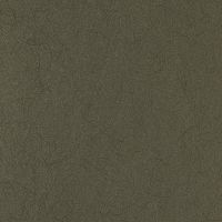 Обои Bernardo Bartalucci Legend 5068-73 Флизелин (1,06*10) Зеленый/Серый, Однотонные — фото 1, Обои для стен