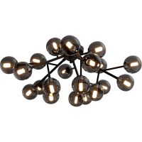 Потолочный светильник Maytoni Modern Dallas MOD545CL-20B Дымчатый Черный матовый — фото 1, Накладные светильники