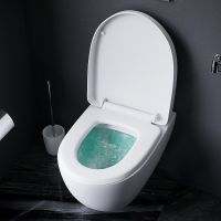 Комплект унитаза с инсталляцией AM.PM Awe IS47001.111738 с сиденьем Микролифт и Белой клавишей смыва — фото 15, Комплекты унитаз + инсталляция