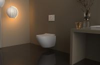 Клавиша смыва Berges Novum R3 040023 Хром — фото 3, Комплектующие для душевого оборудования