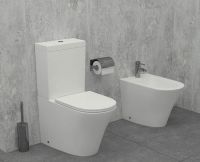 Унитаз компакт Jacob Delafon Rodin+ UJAB102-00 без бачка и сиденья — фото 4, Напольные унитазы