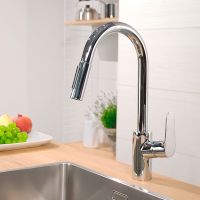 Товар: Смеситель для кухни Hansgrohe Focus 31815000 Хром - фото 10 Смеситель для кухни Hansgrohe Focus 31815000 Хром — фото 10, Смесители для кухни