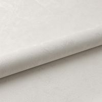 Обои Fipar Modelli Magici R 11580 Винил на флизелине (1,06*10,05) Белый, Штукатурка — фото 2, Обои для стен