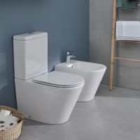 Биде Jacob Delafon Rodin+ EBJ0002-00 Белое — фото 4, Биде напольные