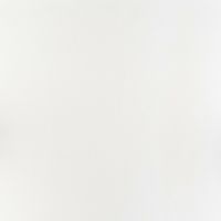 Обои Артекс New Look 5 10688-01 Винил на флизелине (1,06*10,05) Белый, Однотонные — фото 1, Обои для стен