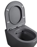 Унитаз Abber Bequem AC1101MG подвесной Серый матовый с сиденьем Микролифт — фото 3, Подвесные унитазы