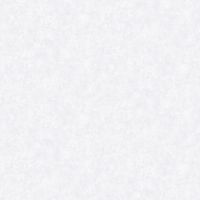 Обои Bernardo Bartalucci Bigi 5067-11 Флизелин (1,06*10) Голубой, Штукатурка — фото 1, Обои для стен