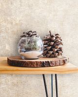 Обои Prima Italiana Volare 80487 Винил на флизелине (1,06*10) Бежевый, Штукатурка — фото 3, Обои для стен