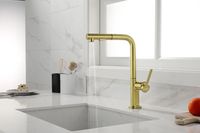 Смеситель для кухни Paulmark Neo Ne214419-SBG Светлое брашированное золото — фото 4, Смесители для кухни