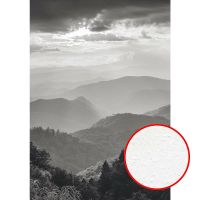 Фреска Ortograf Горы 33428 Фактура бархат FX Флизелин (1,9*2,7) Серый, Горы/Пейзаж/Природа — фото 1, Фрески