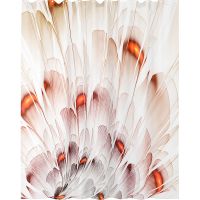 Штора для ванны WasserKRAFT Nau 180х200 SC-77103 разноцветная — фото 1, Аксессуары для туалета