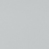 Обои Andrea Rossi Spectrum Pro 54379-4 Винил на флизелине (1,06*10) Серый, Однотонные/Рогожка — фото 1, Обои для стен