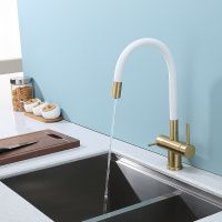 Смеситель для кухни Splenka S70.64.03 Золото матовое Белый — фото 3, Смесители для кухни