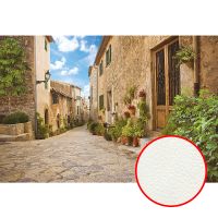 Фреска Ortograf Городской пейзаж 4093 Фактура флок FLK Флизелин (4*2,7) Бежевый/Зеленый/Голубой, Город/Пейзаж — фото 1, Фрески