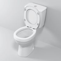 Товар: Унитаз компакт Niagara Brava NG-9901 с бачком и сиденьем Микролифт - фото 3 Унитаз компакт Niagara Brava NG-9901 с бачком и сиденьем Микролифт — фото 3, Унитазы