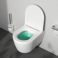 Унитаз AM.PM Func FlashClean C8F1700MWSC подвесной Белый матовый с сиденьем Микролифт — фото 12, Подвесные унитазы