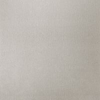 Товар: Обои Solo Voyage 168415-07 Винил на флизелине (1,06*10) Бежевый, Однотонные - фото 1 Обои Solo Voyage 168415-07 Винил на флизелине (1,06*10) Бежевый, Однотонные — фото 1, Обои для стен