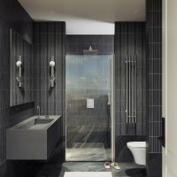 Товар: Душевая дверь Maybah Glass MGD-803-5 800x1980 на монопетле Хром матовый стекло прозрачное - фото 2 Душевая дверь Maybah Glass MGD-803-5 800x1980 на монопетле Хром матовый стекло прозрачное — фото 2, Душевые двери в нишу