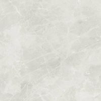 Керамогранит Dako Liberty Светло-серый Рект E-3014/MR/600x600x9 60х60 см — фото 3, Керамогранит