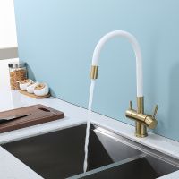 Смеситель для кухни Splenka S70.64.03 Золото матовое Белый — фото 31, Смесители для кухни