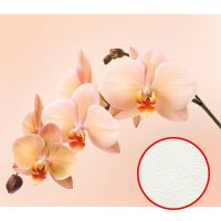 Фреска Ortograf Цветы 30437 Фактура флок FLK Флизелин (3,1*2,7) Розовый, Цветы — фото 1, Фрески