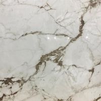 Керамогранит Absolut Gres Calacatta bronze gloss AB 1099G 60x60 см — фото 1, Керамогранит