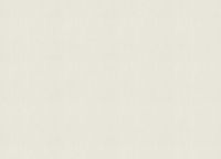 Обои Zambaiti Parati Vision 76028 Винил на флизелине (0,70*10,05) Белый, Штукатурка — фото 2, Обои для стен