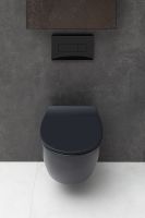 Товар: Унитаз Allen Brau Fantasy 4.11004.31 подвесной Черный матовый без сиденья - фото 7 Унитаз Allen Brau Fantasy 4.11004.31 подвесной Черный матовый без сиденья — фото 7, Подвесные унитазы