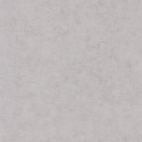 Товар: Обои Caselio Beton 101489460 Винил на флизелине (0,53*10,05) Серый, Штукатурка - фото 1 Обои Caselio Beton 101489460 Винил на флизелине (0,53*10,05) Серый, Штукатурка — фото 1, Обои для стен