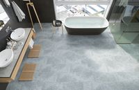 Виниловый ламинат Fargo Stone  61S455 Дымчатый Меланит 600х300х4 мм — фото 2, Виниловый ламинат