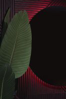 Товар: Зеркало Silver Mirrors Savanna-RGB 77 LED-00002604 с подсветкой со Smart-управлением и диммером - фото 4 Зеркало Silver Mirrors Savanna-RGB 77 LED-00002604 с подсветкой со Smart-управлением и диммером — фото 4, Зеркала в ванную комнату